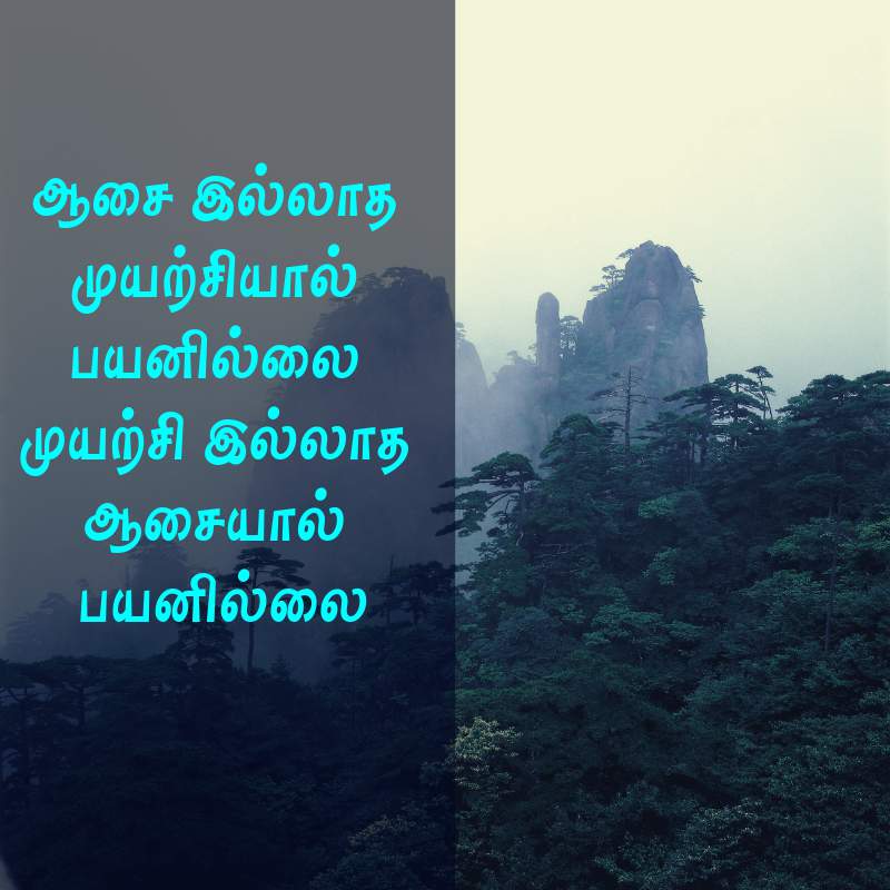 Motivational Quotes in Tamil | Tamil Inspirational Quotes for Success