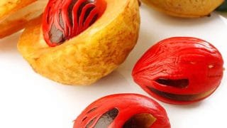 Nutmeg in Tamil ஜாதிக்காய்