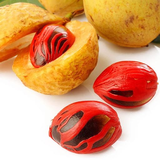 Nutmeg in Tamil ஜாதிக்காய் Jathikai Uses and Benefits