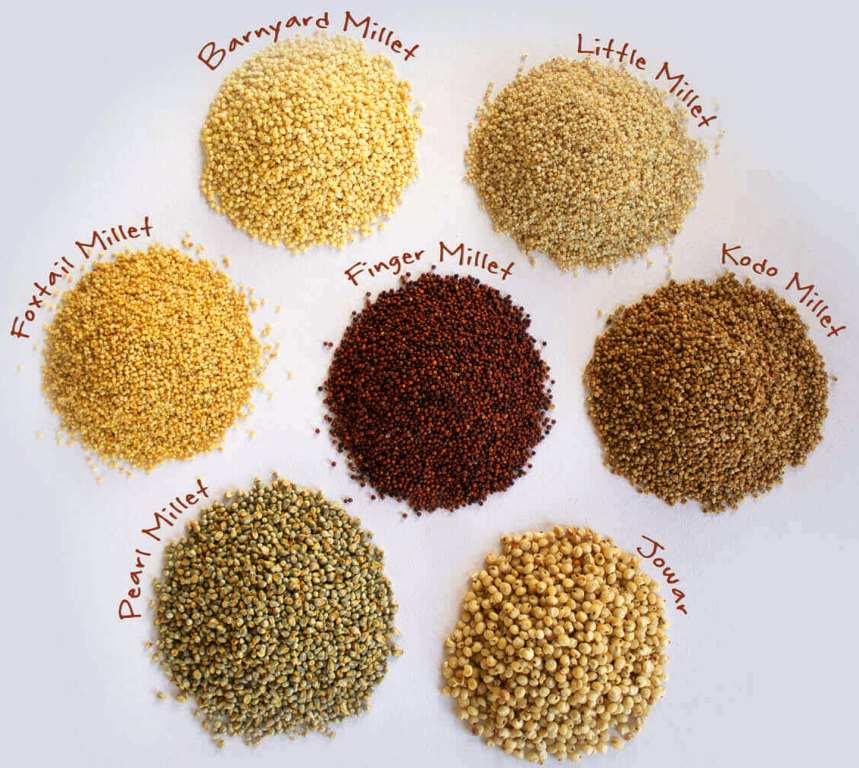Millets in Tamil